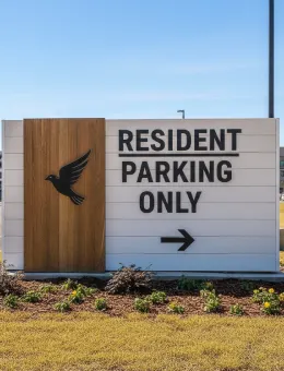 Decorative Tree Wall Art Design