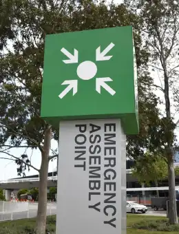 Eco-Friendly Business Cards