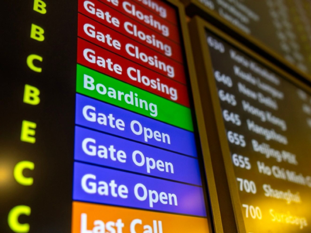 Custom Digital Information Systems in Dubai and UAE