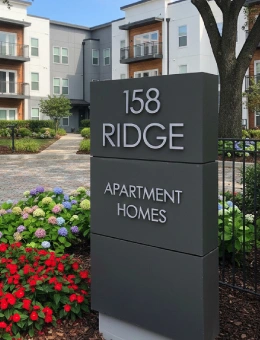 Decorative Tree Wall Art Design