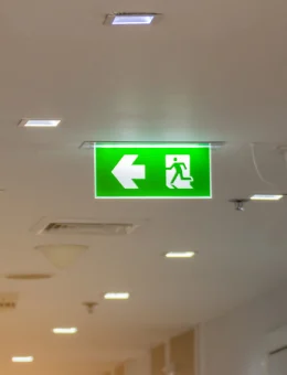 Decorative Tree Wall Art Design