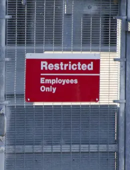 Eco-Friendly Business Cards