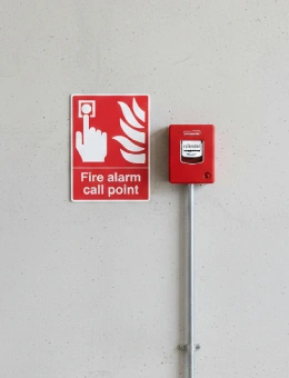 Eco-Friendly Business Cards