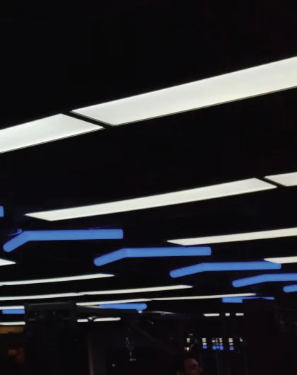 Stretch Ceiling Works