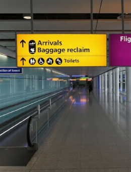 Decorative Tree Wall Art Design