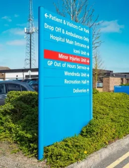 Decorative Tree Wall Art Design