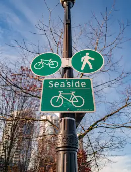 Decorative Tree Wall Art Design